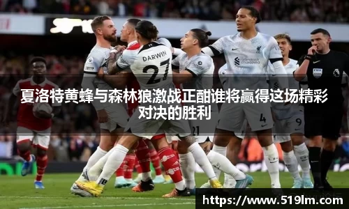 beats365夏洛特黄蜂与森林狼激战正酣谁将赢得这场精彩对决的胜利